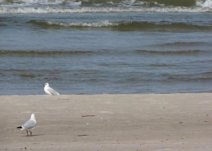 Secesja Bed & Breakfast Łeba